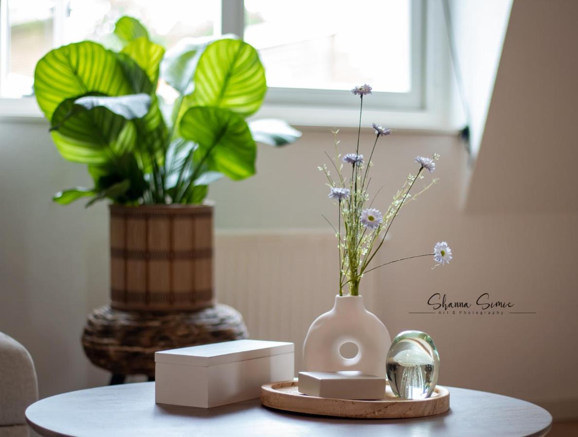 Romantic Apartment De Koning Alkmaar by Urban Home Stay Buitenkant foto