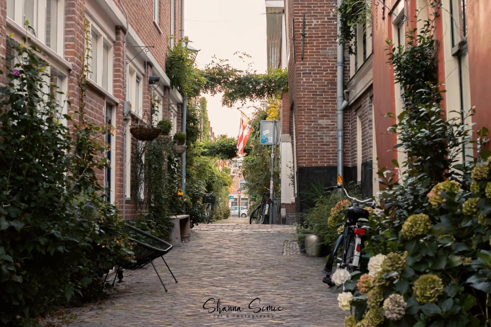 Romantic Apartment De Koning Alkmaar by Urban Home Stay Buitenkant foto
